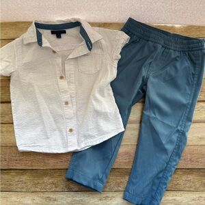 Tahari Blue and White Button Down Shirt Classic Design
